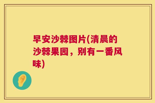 早安沙棘图片(清晨的沙棘果园,别有一番风味)