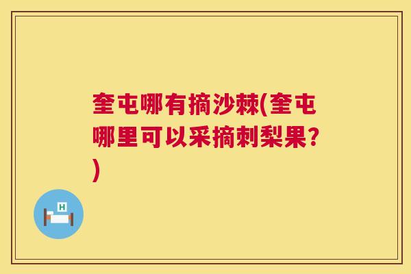 奎屯哪有摘沙棘(奎屯哪里可以采摘刺梨果?)