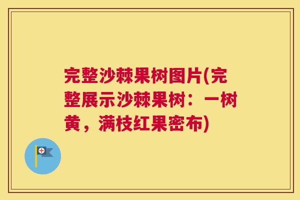 完整沙棘果树图片(完整展示沙棘果树：一树黄，满枝红果密布)