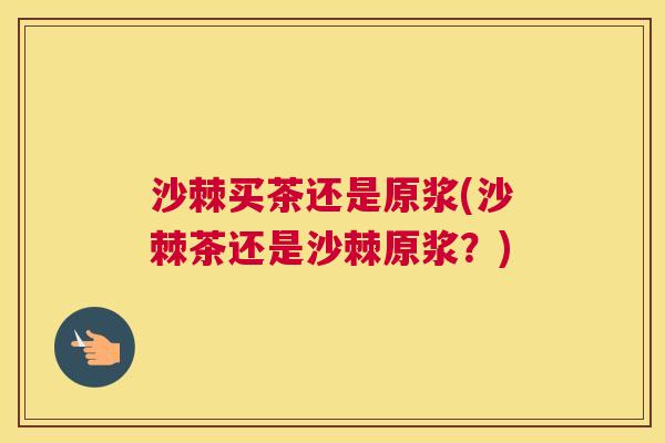 沙棘买茶还是原浆(沙棘茶还是沙棘原浆？)