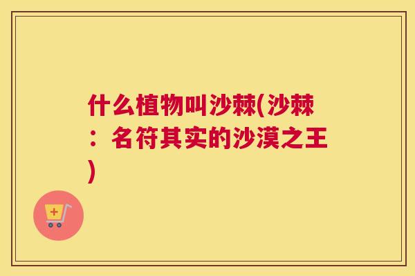 什么植物叫沙棘(沙棘:名符其实的沙漠之王)