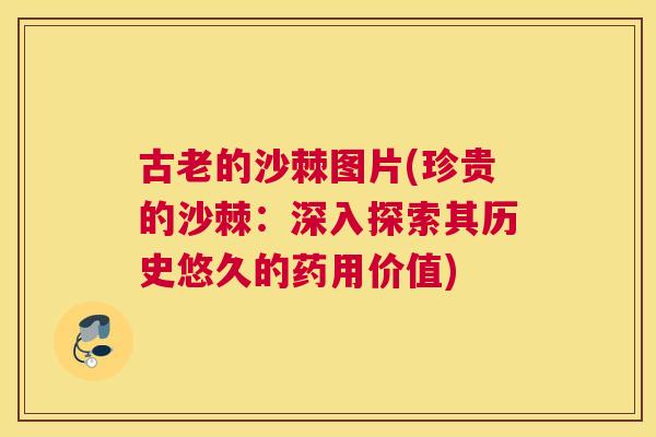 古老的沙棘图片(珍贵的沙棘：深入探索其历史悠久的药用价值)