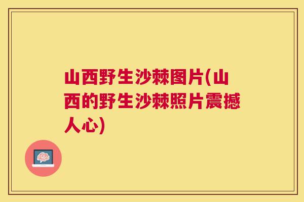 山西野生沙棘图片(山西的野生沙棘照片震撼人心)