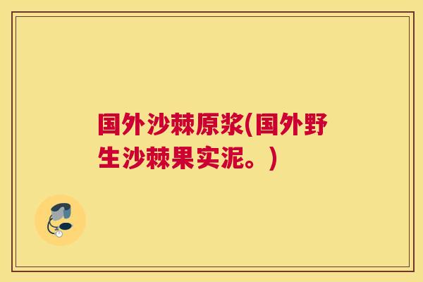 国外沙棘原浆(国外野生沙棘果实泥。)