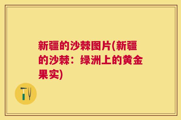 新疆的沙棘图片(新疆的沙棘:绿洲上的黄金果实)