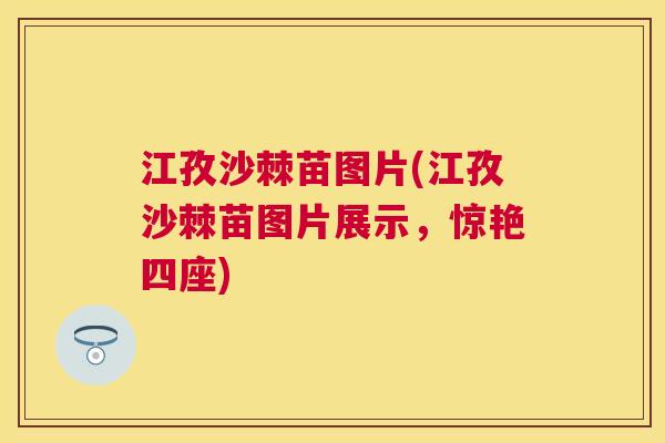 江孜沙棘苗图片(江孜沙棘苗图片展示,惊艳四座) 江孜沙棘苗图片(江孜沙棘苗图片展示,惊艳四座)