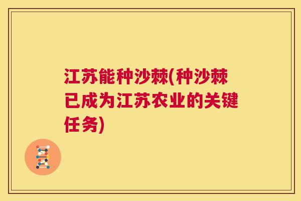 江苏能种沙棘(种沙棘已成为江苏农业的关键任务)