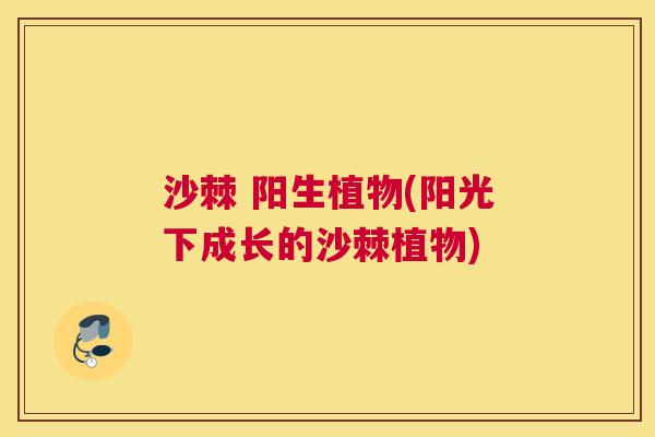 沙棘 阳生植物(阳光下成长的沙棘植物)