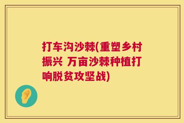 打车沟沙棘(重塑乡村振兴 万亩沙棘种植打响脱贫攻坚战)