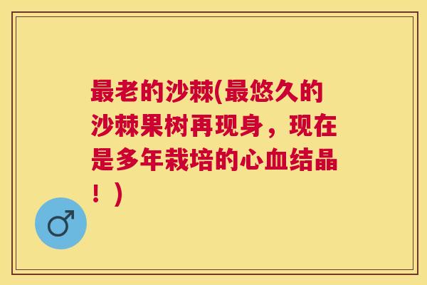 最老的沙棘(最悠久的沙棘果树再现身，现在是多年栽培的心血结晶！)