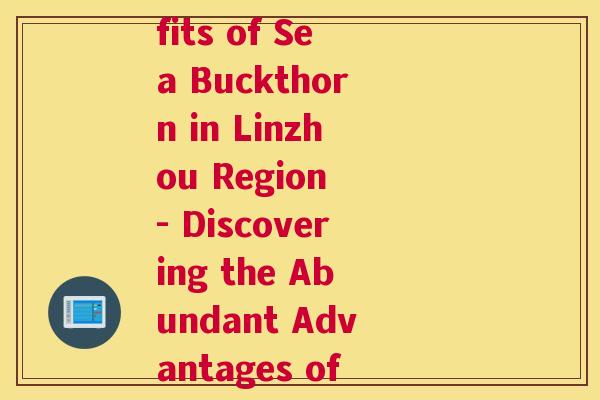 和林周边沙棘(Exploring the Rich Benefits of Sea Buckthorn in Linzhou Region - Discovering the Abundant Advantages of Linzhou's Sea Buckthorn)