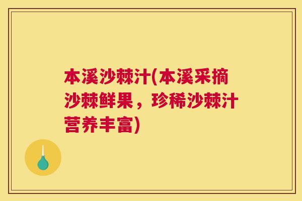 本溪沙棘汁(本溪采摘沙棘鲜果，珍稀沙棘汁营养丰富)