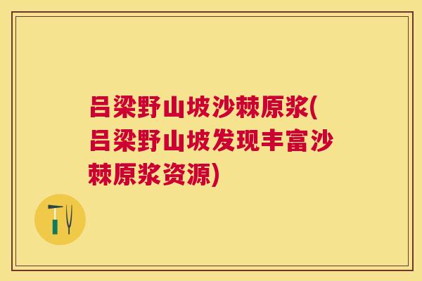 吕梁野山坡沙棘原浆(吕梁野山坡发现丰富沙棘原浆资源)