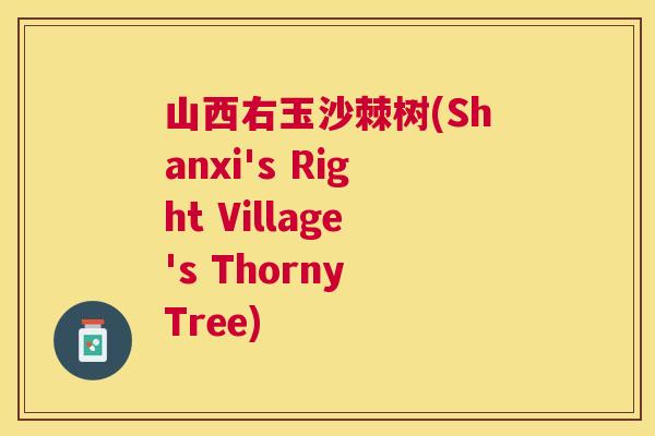 山西右玉沙棘树(Shanxi's Right Village's Thorny Tree)