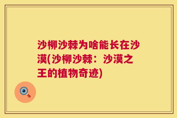 沙柳沙棘为啥能长在沙漠(沙柳沙棘：沙漠之王的植物奇迹)