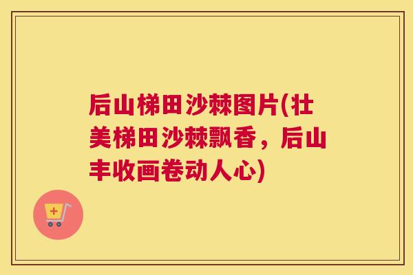 后山梯田沙棘图片(壮美梯田沙棘飘香,后山丰收画卷动人心)