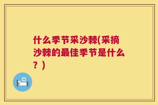 什么季节采沙棘(采摘沙棘的最佳季节是什么?)
