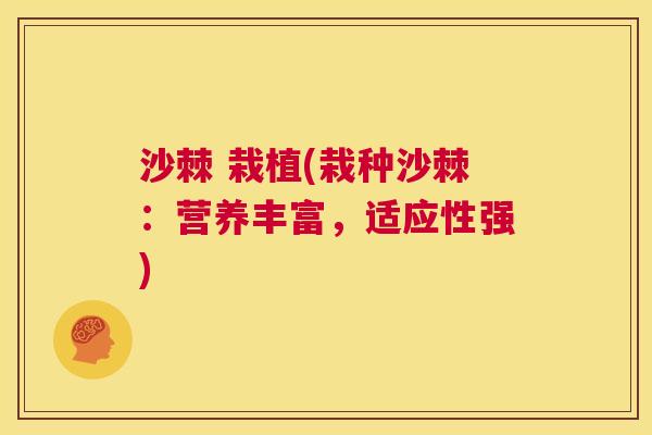 沙棘 栽植(栽种沙棘：营养丰富，适应性强)