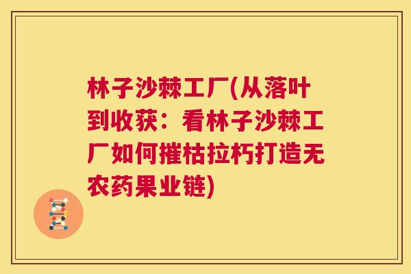 林子沙棘工厂(从落叶到收获：看林子沙棘工厂如何摧枯拉朽打造无农药果业链)