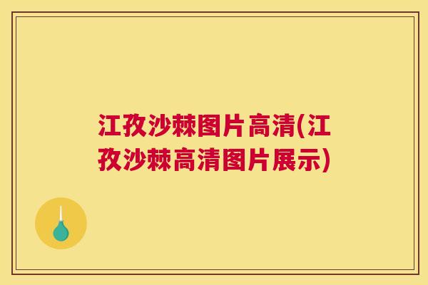 江孜沙棘图片高清(江孜沙棘高清图片展示)