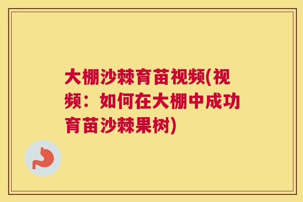 大棚沙棘育苗视频(视频:如何在大棚中成功育苗沙棘果树)