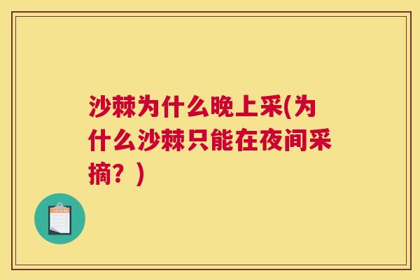 沙棘为什么晚上采(为什么沙棘只能在夜间采摘？)