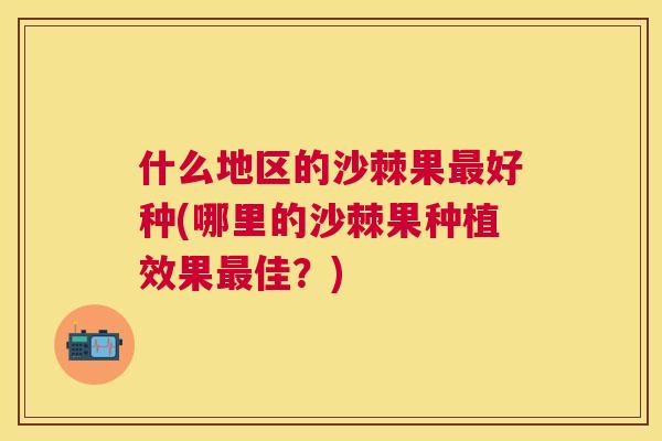 什么地区的沙棘果最好种(哪里的沙棘果种植效果最佳？)