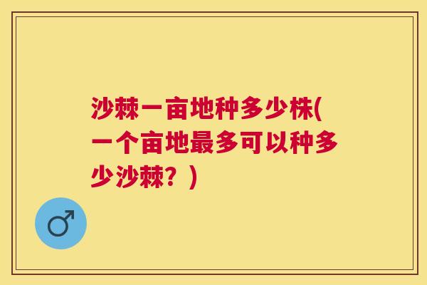 沙棘一亩地种多少株(一个亩地最多可以种多少沙棘？)