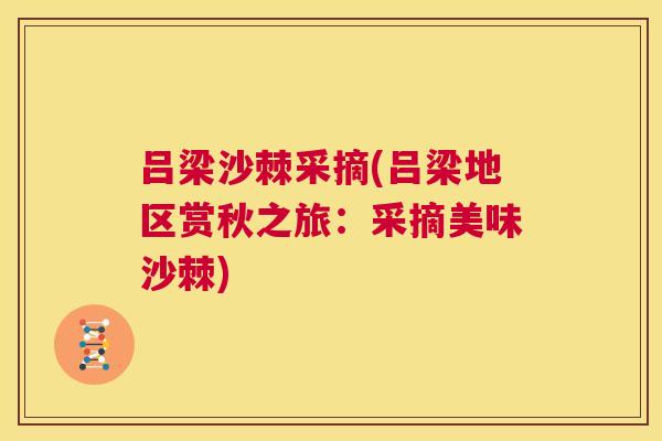 吕梁沙棘采摘(吕梁地区赏秋之旅：采摘美味沙棘)
