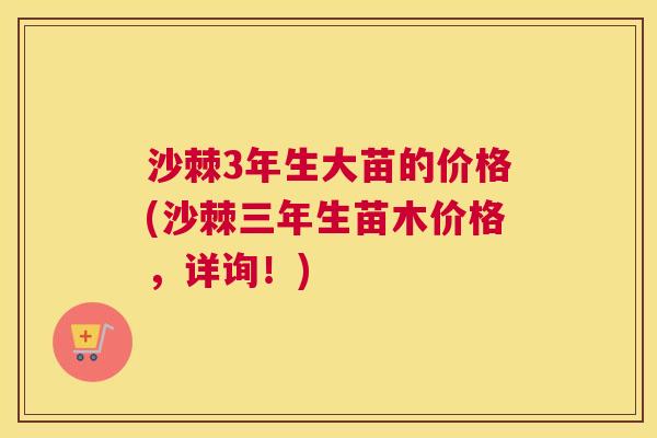 沙棘3年生大苗的价格(沙棘三年生苗木价格，详询！)