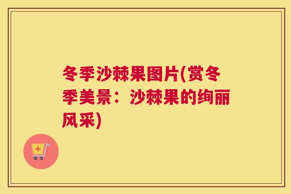 冬季沙棘果图片(赏冬季美景：沙棘果的绚丽风采)