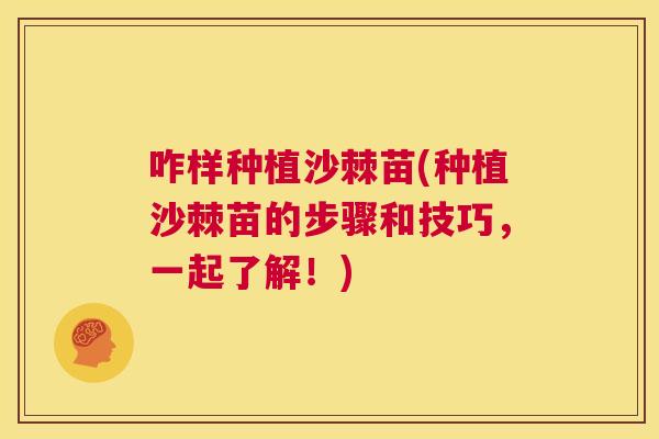 咋样种植沙棘苗(种植沙棘苗的步骤和技巧，一起了解！)