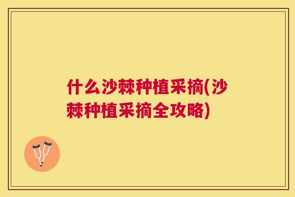 什么沙棘种植采摘(沙棘种植采摘全攻略)