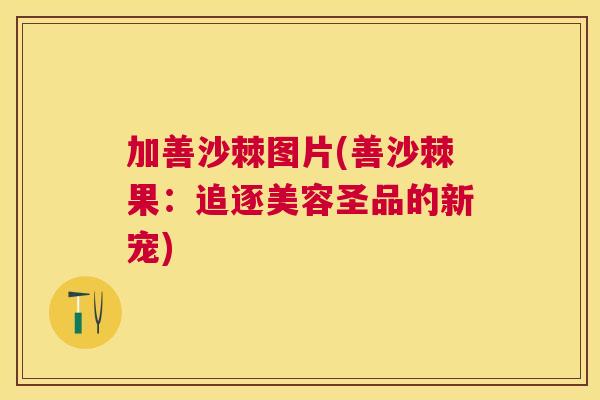 加善沙棘图片(善沙棘果：追逐美容圣品的新宠)