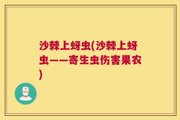 沙棘上蚜虫(沙棘上蚜虫——寄生虫伤害果农)
