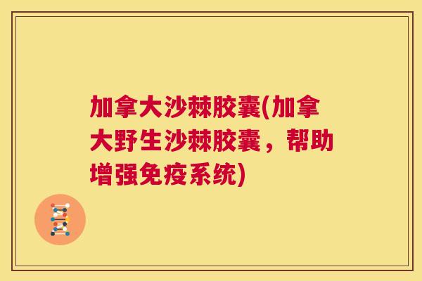 加拿大沙棘胶囊(加拿大野生沙棘胶囊,帮助增强免疫系统)