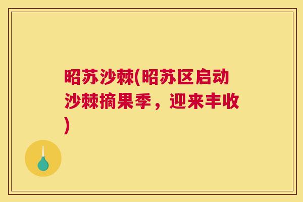 昭苏沙棘(昭苏区启动沙棘摘果季,迎来丰收)
