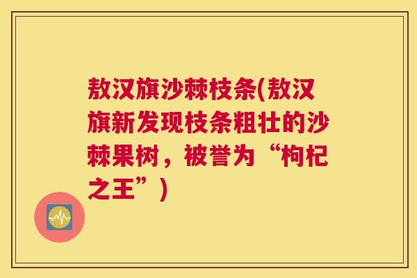 敖汉旗沙棘枝条(敖汉旗新发现枝条粗壮的沙棘果树，被誉为“枸杞之王”)