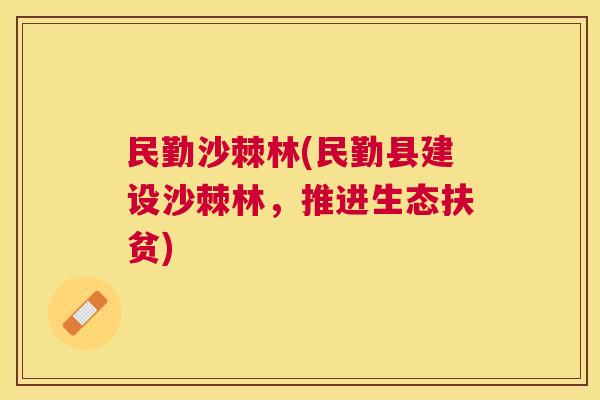 民勤沙棘林(民勤县建设沙棘林,推进生态扶贫) 民勤沙棘林(民勤县建设沙棘林,推进生态扶贫)