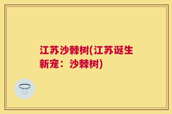 江苏沙棘树(江苏诞生新宠:沙棘树)