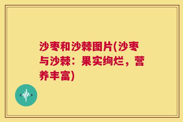 沙枣和沙棘图片(沙枣与沙棘：果实绚烂，营养丰富)