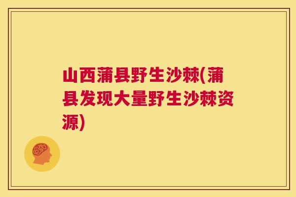 山西蒲县野生沙棘(蒲县发现大量野生沙棘资源)