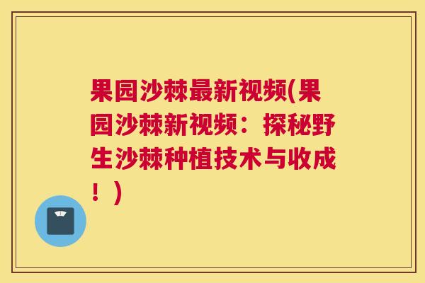 果园沙棘最新视频(果园沙棘新视频:探秘野生沙棘种植技术与收成!)