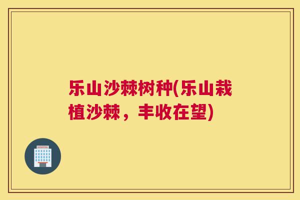 乐山沙棘树种(乐山栽植沙棘，丰收在望)
