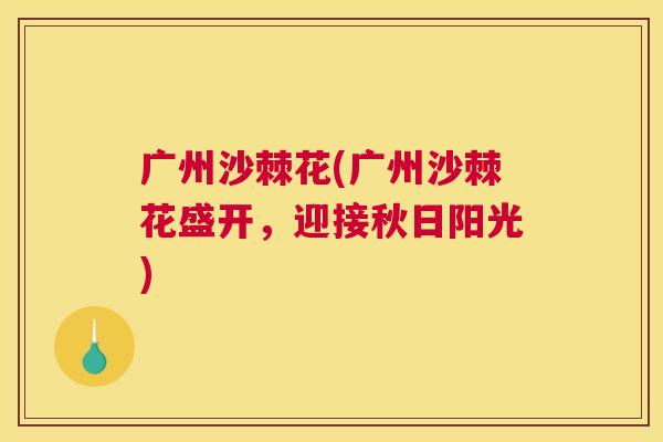 广州沙棘花(广州沙棘花盛开，迎接秋日阳光)