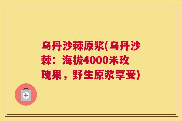 乌丹沙棘原浆(乌丹沙棘：海拔4000米玫瑰果，野生原浆享受)