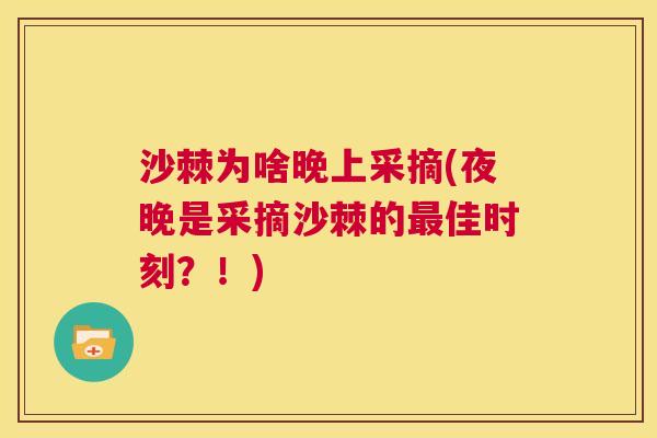 沙棘为啥晚上采摘(夜晚是采摘沙棘的最佳时刻？！)