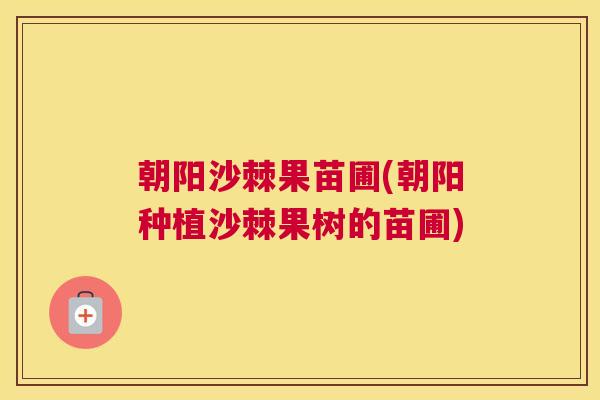 朝阳沙棘果苗圃(朝阳种植沙棘果树的苗圃)