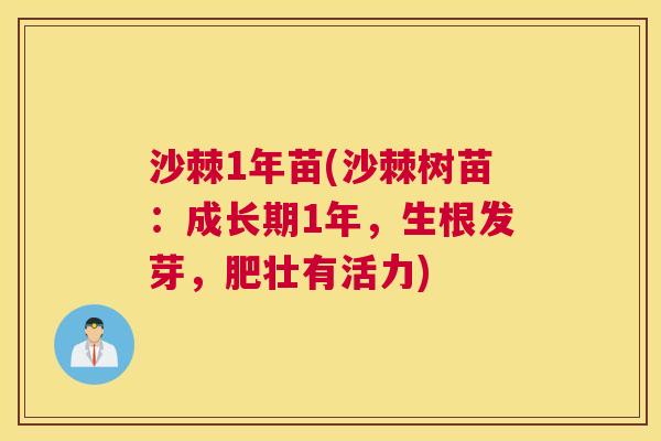 沙棘1年苗(沙棘树苗：成长期1年，生根发芽，肥壮有活力)