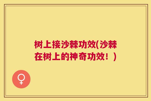 树上接沙棘功效(沙棘在树上的神奇功效!)